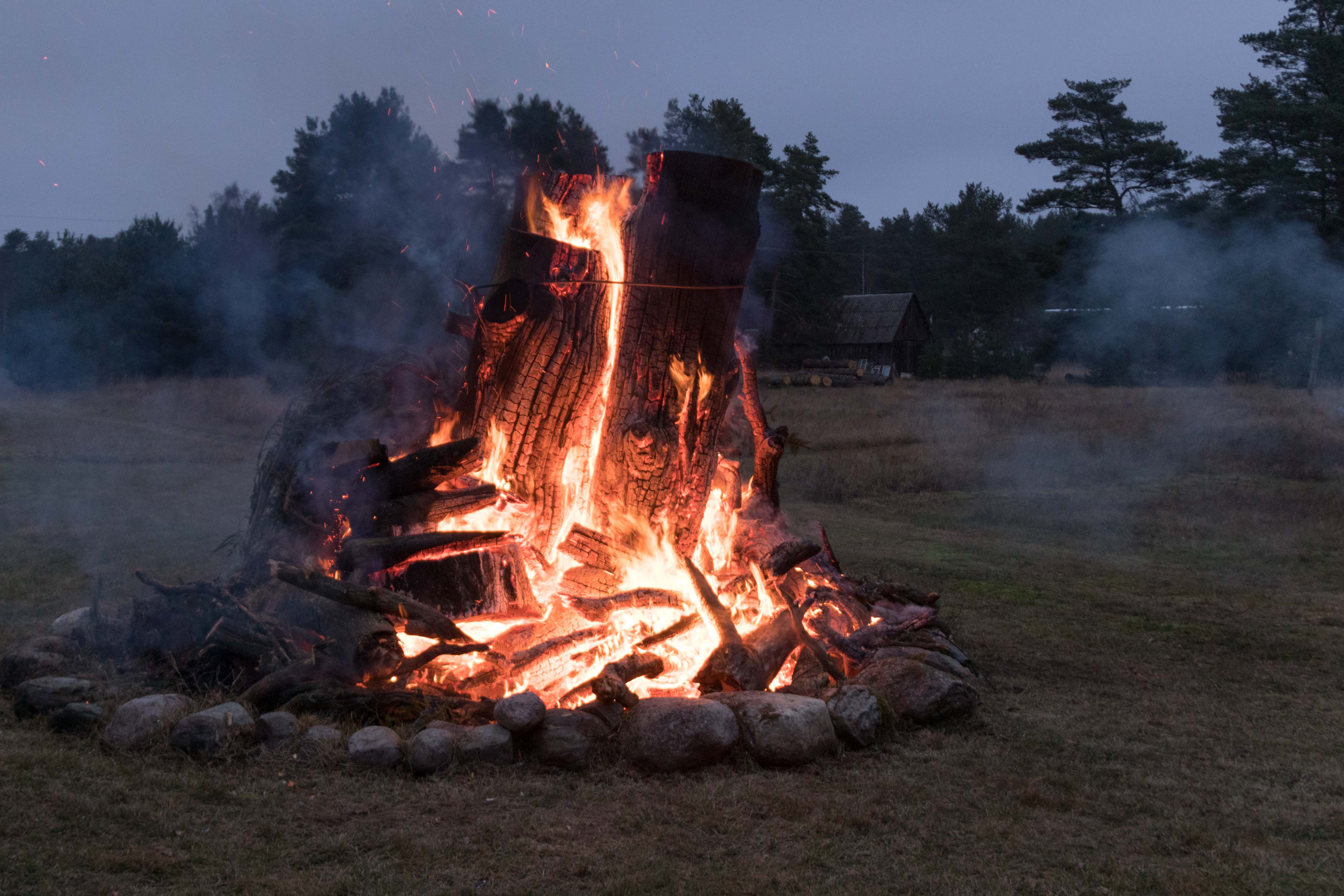 Kasispea küla jõulupuu 2019 9